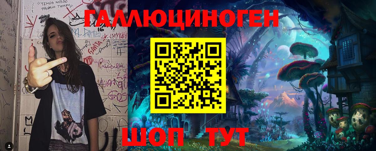 Галлюциногенные грибы Psilocybe Великие Луки