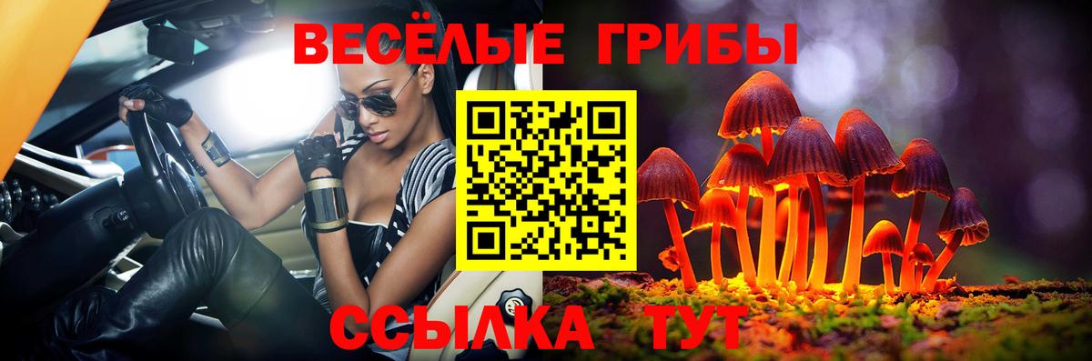 Великие Луки  закладка  Вход с VPN  Галлюциногенные грибы Cubensis 